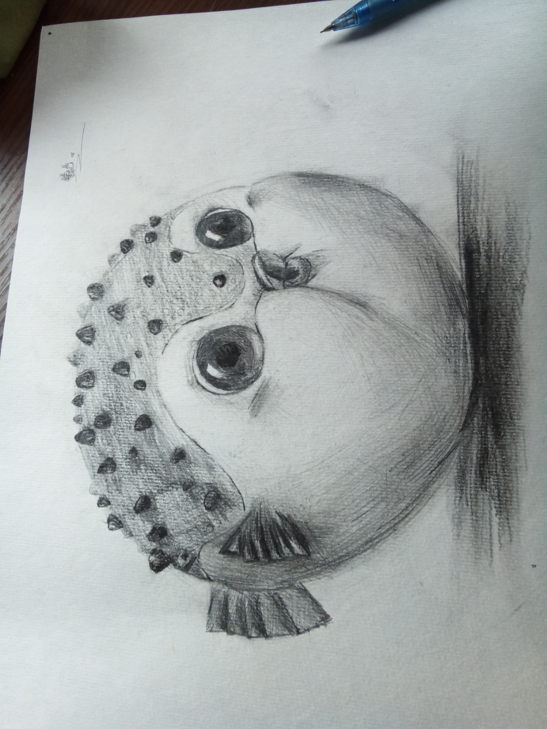 一大早起来脑子就晕乎乎的,烦死了,想s想杀人的一天… 画了只河豚,想