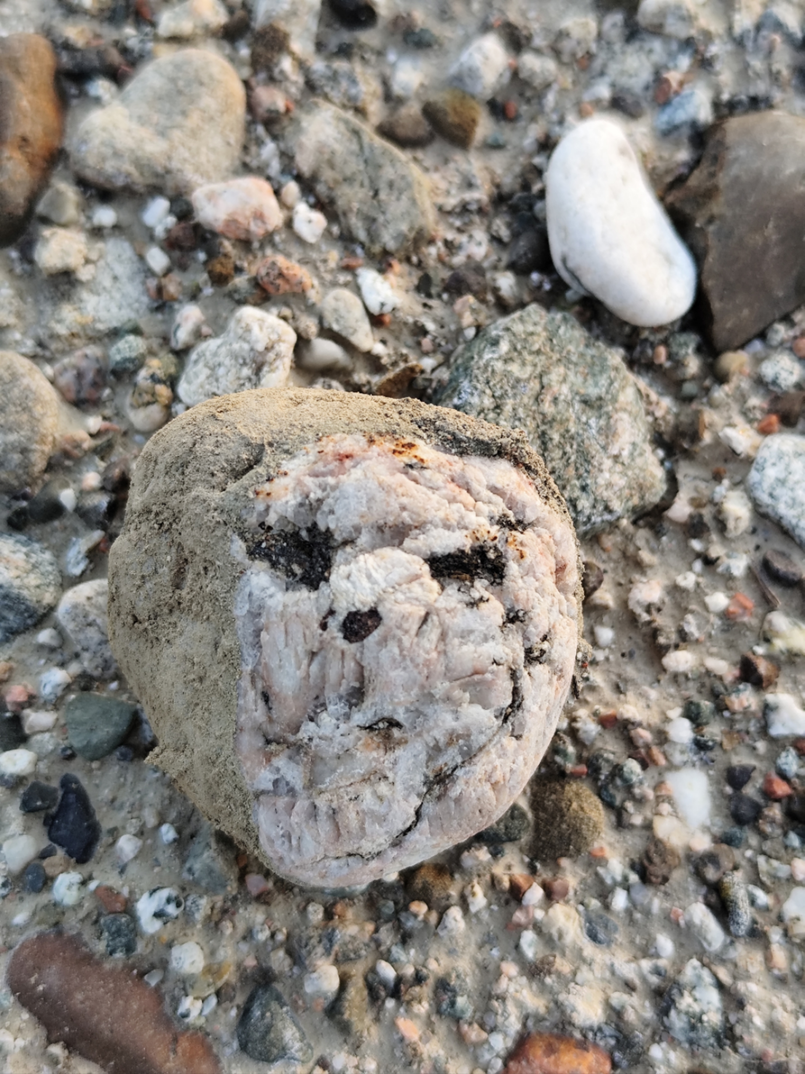 搭帐篷过程中捡到了一块奇特的石头,起初吓我一跳,后来越看越有意思