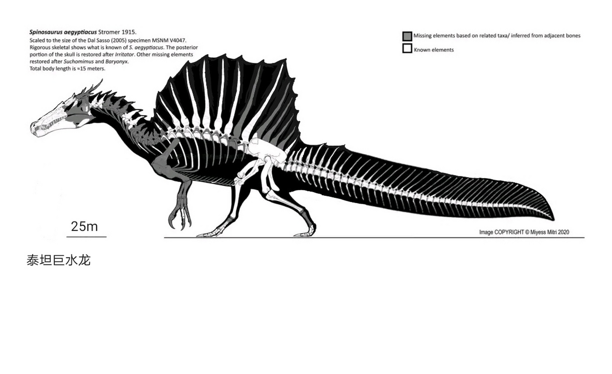 泰坦巨水龙[滑稽](图源:@博物zilla )