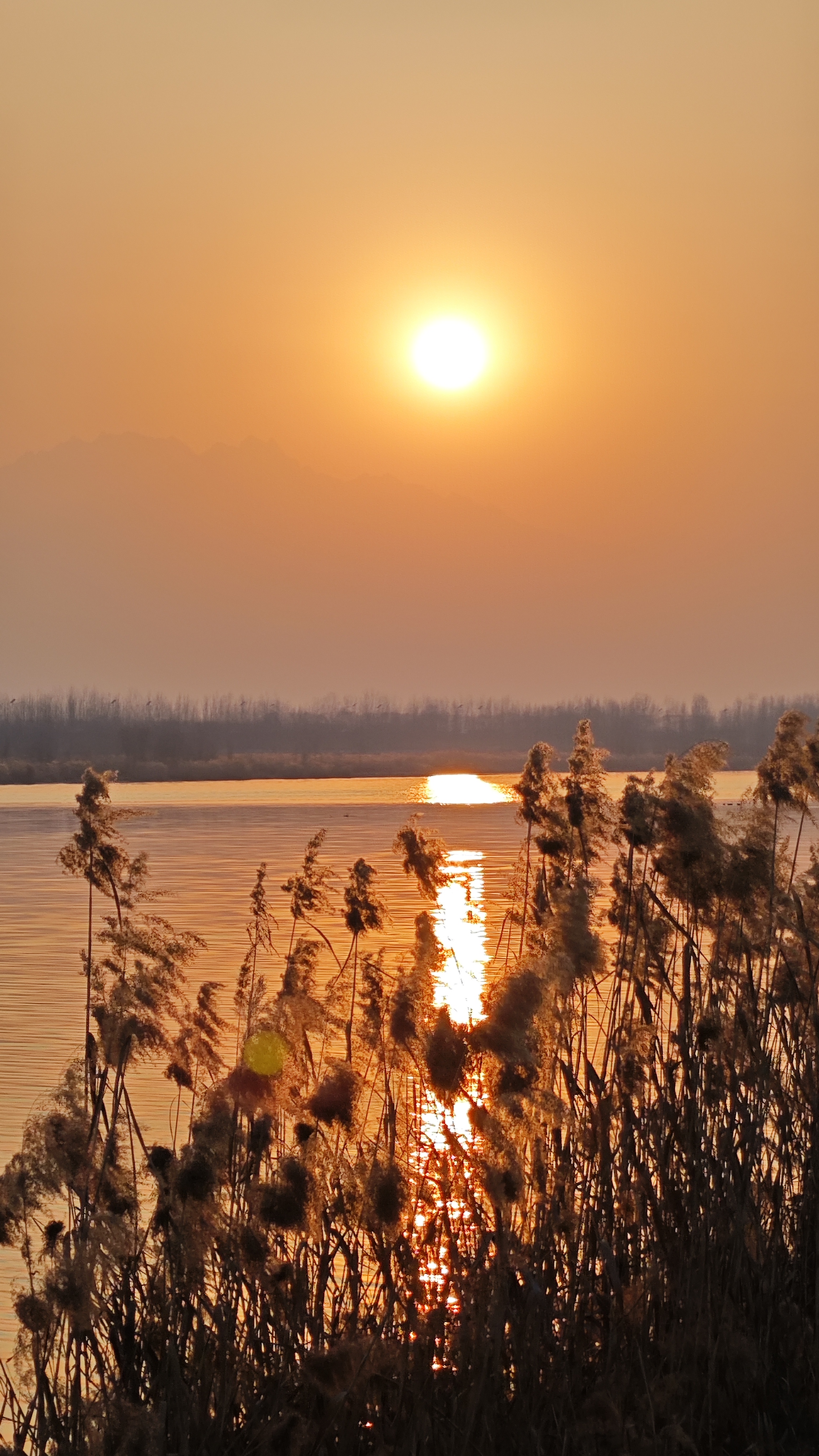 夕阳斜照的画面图片