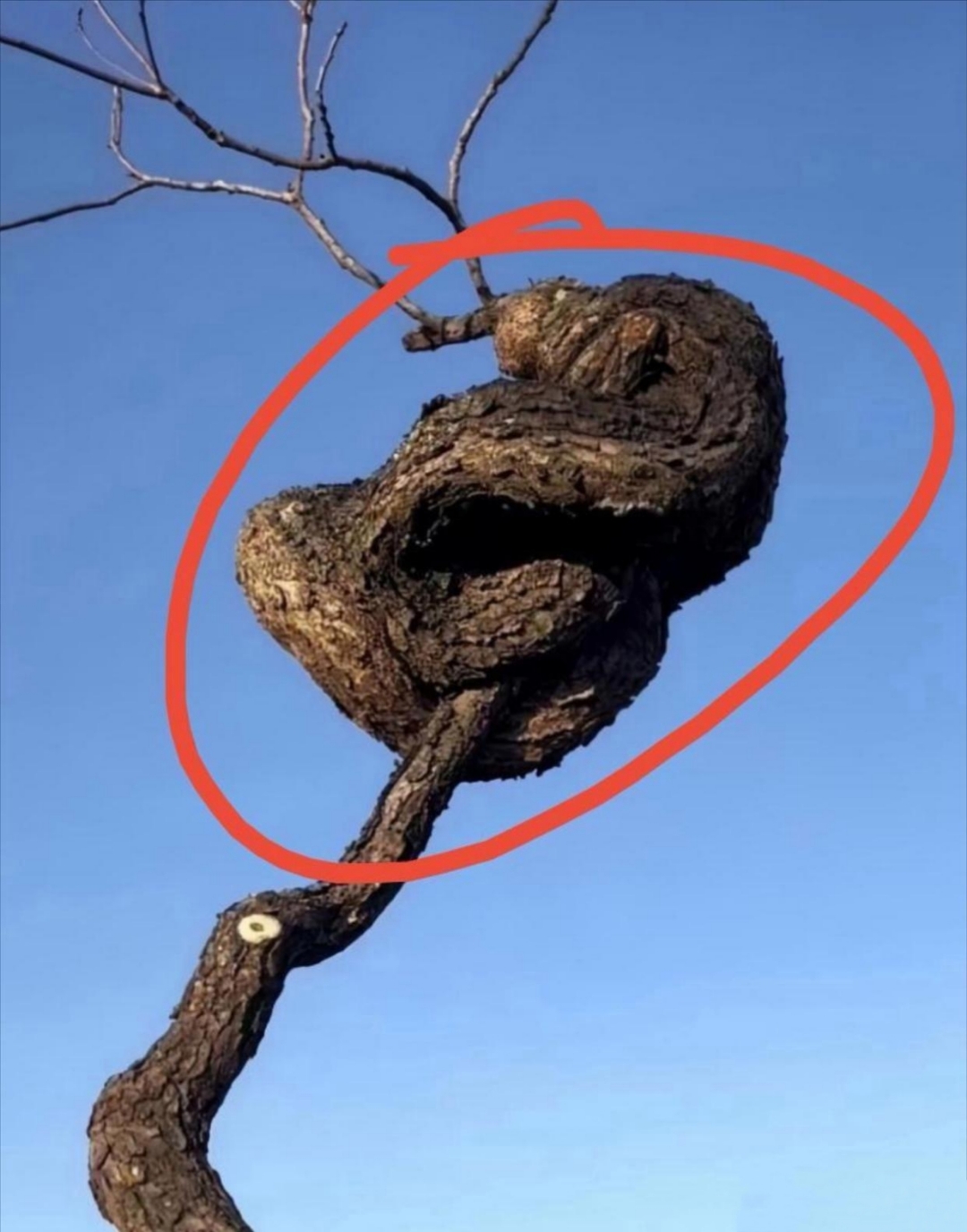 吓得我魂都飞了,心砰砰直跳,腿软得站不住.想跑吧