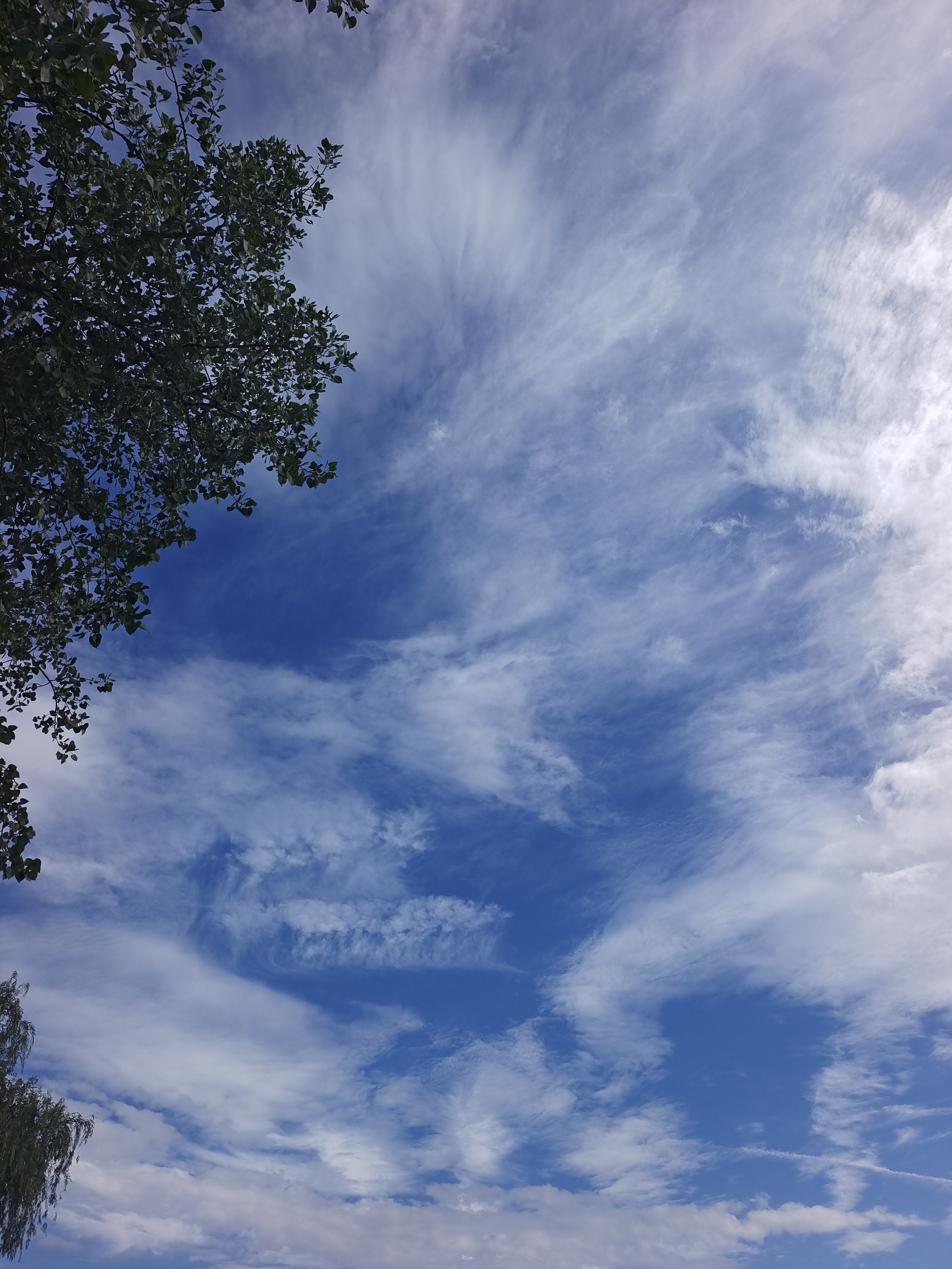 雨后初晴是天空的景象图片