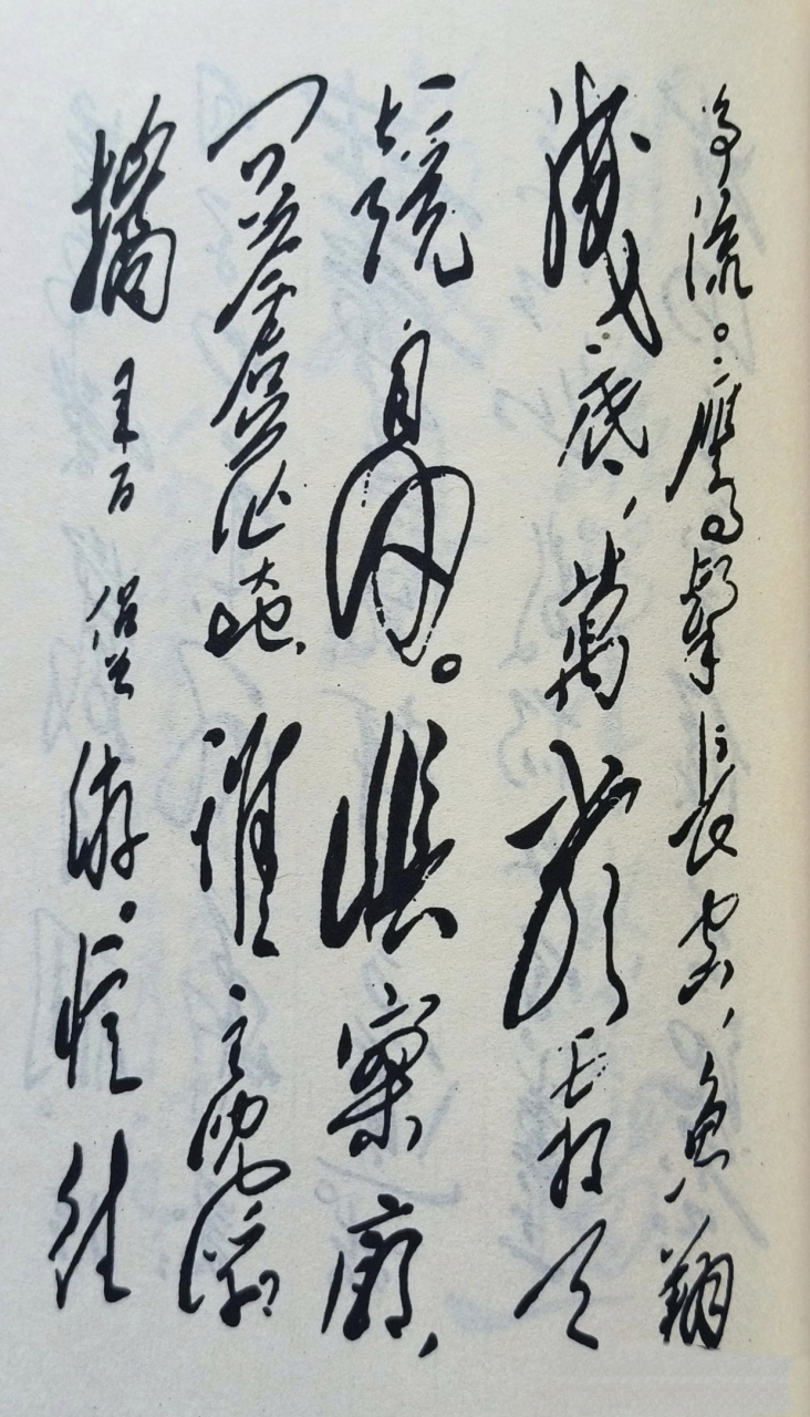 沁园春·长沙 独立寒秋,湘江北去,橘子洲头.