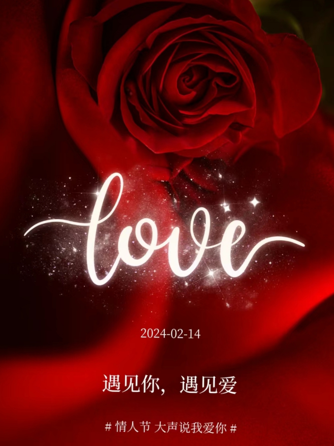 在红色的背景下,一朵玫瑰静静绽放,诉说着那份独特的爱情