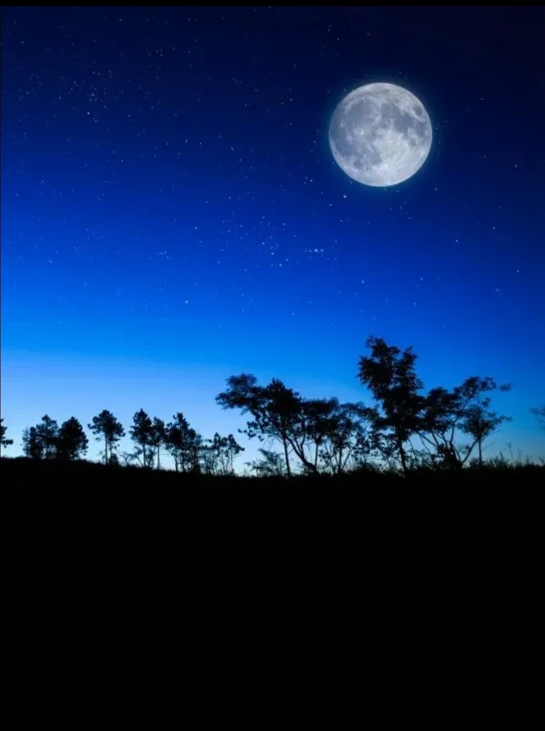 月明星稀,暗夜未央.树影婆娑,谧静之夜.