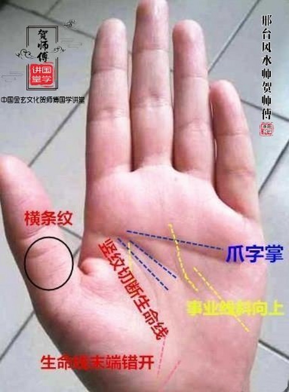 命主掌中"爪字纹 心地特别善良,喜欢帮助他人.