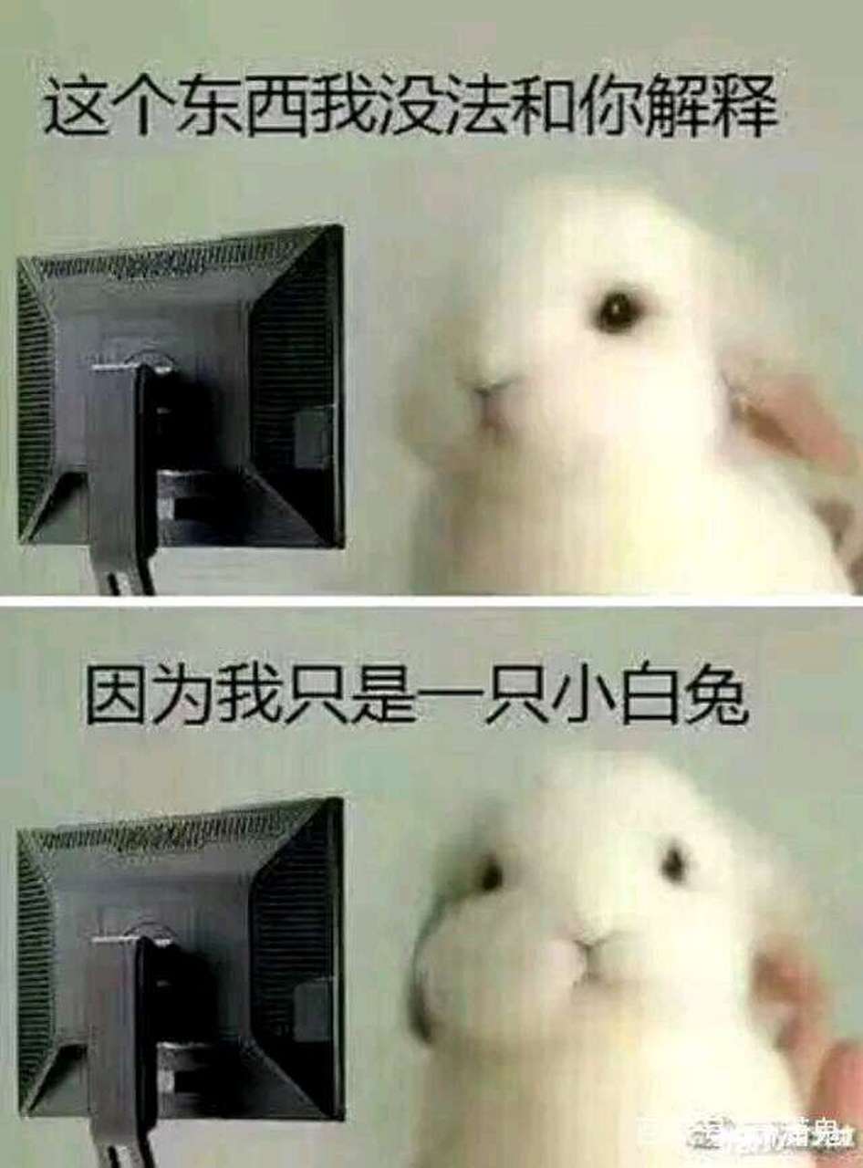 我不想跟你解释 也不能跟你解释 因为我是只兔子