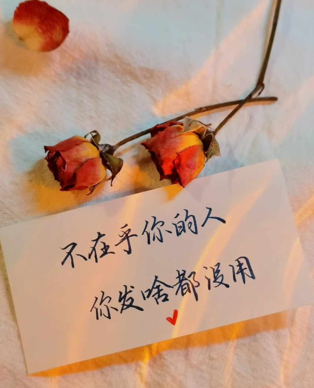 不在乎你的人 你发啥都没用