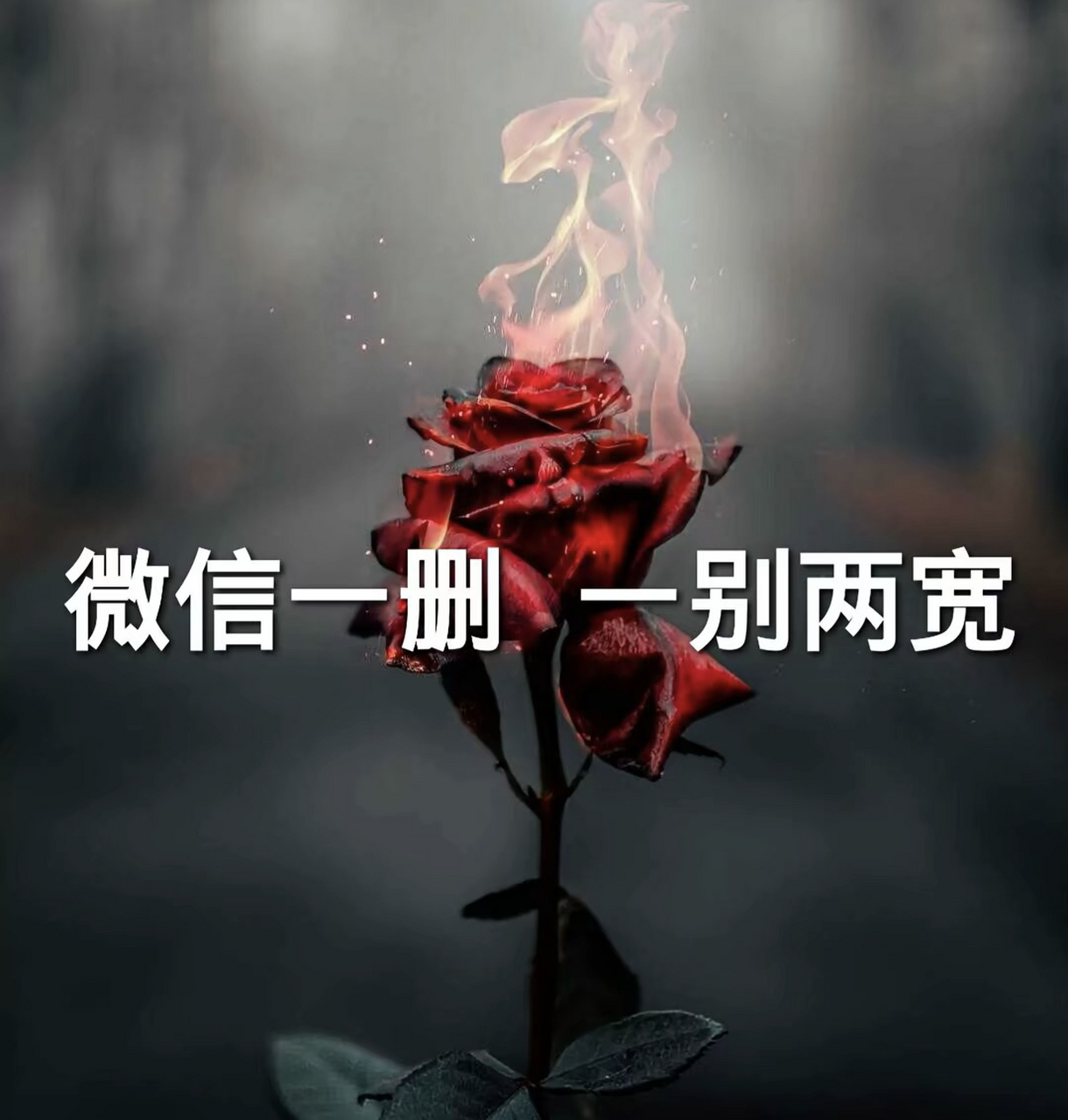 微信一删,一别两宽