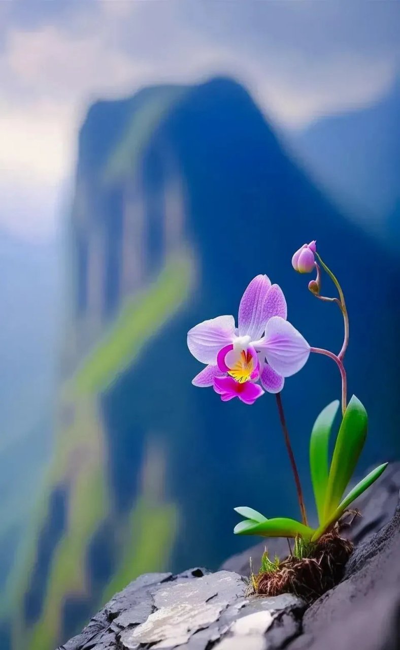 天道酬勤,扛得住涅槃之痛,才能获得重生之美!