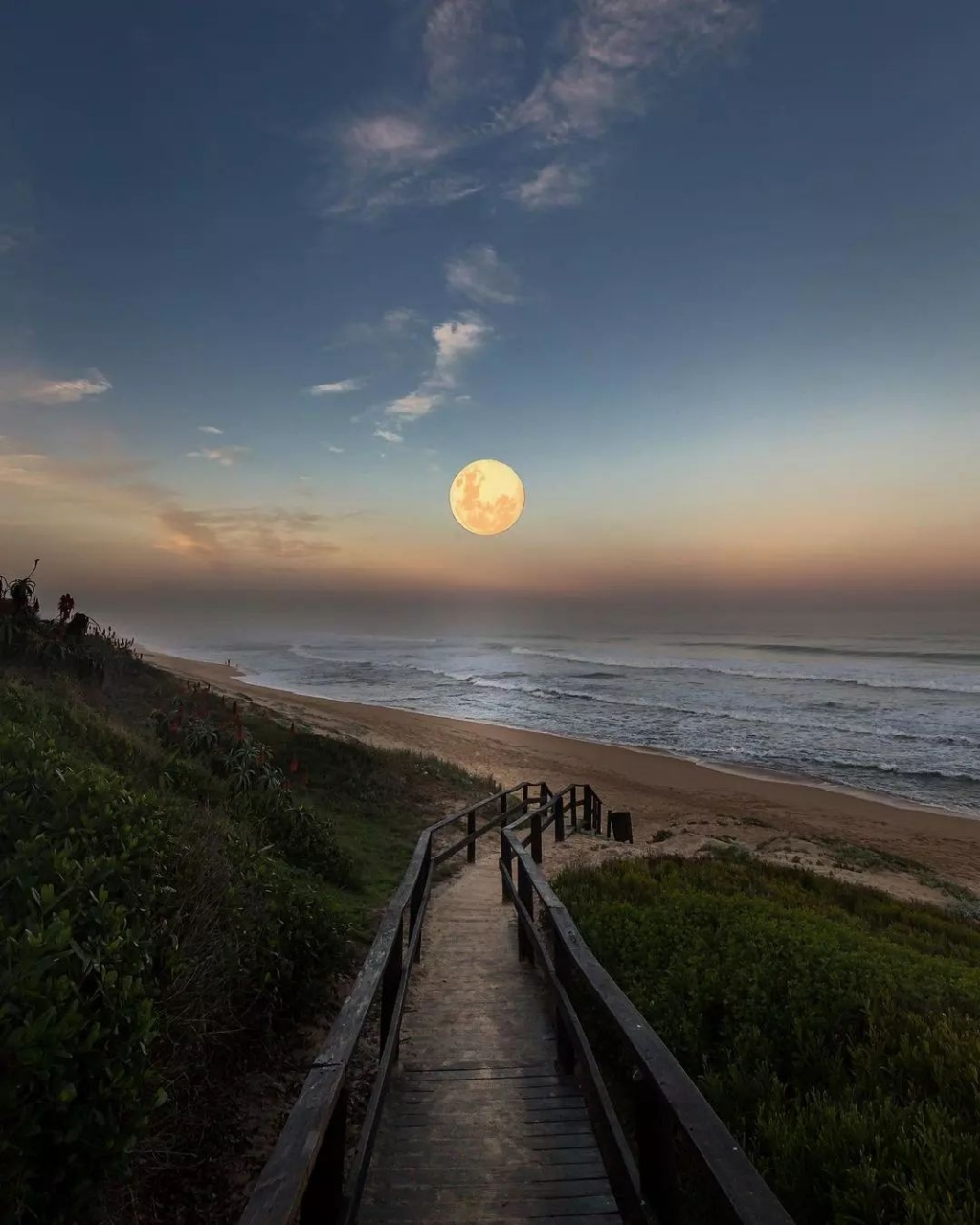 看到月亮就会思念远方的亲人