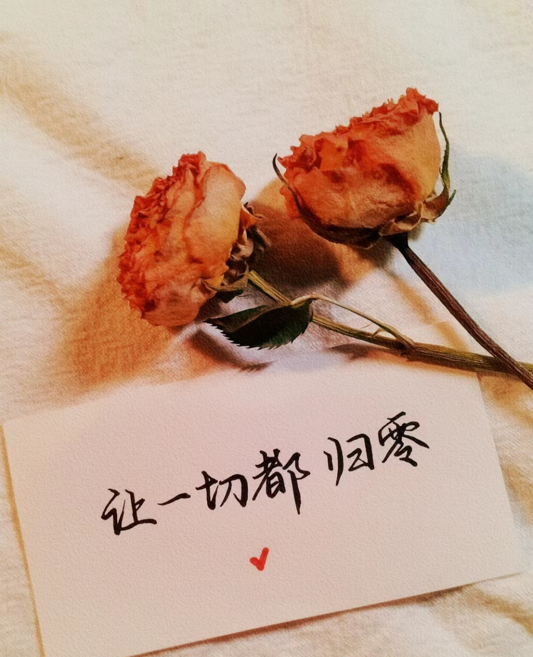 五月,一切尽意 多看大自然,少与人纠缠 |韩梅梅手写