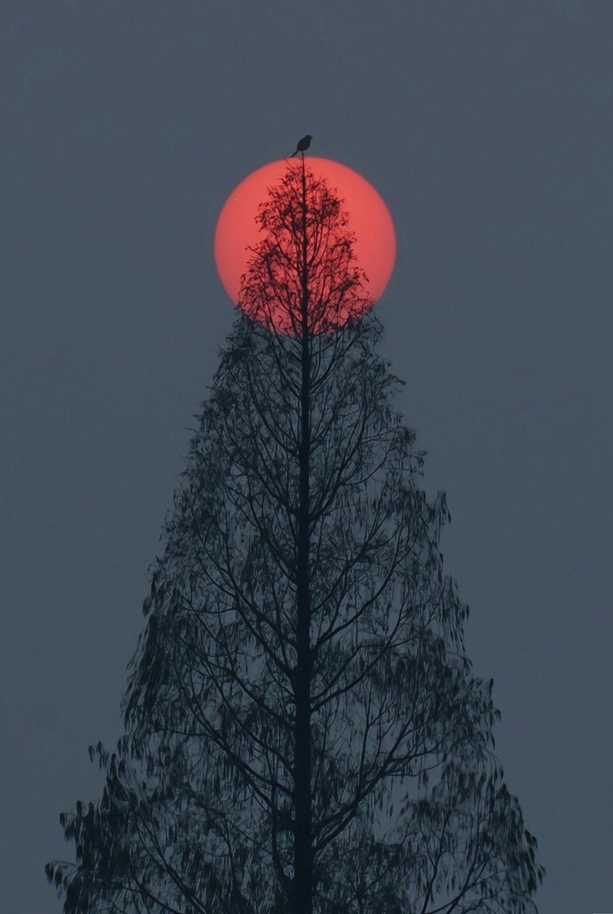 be a magnanimous, simple and happy self, and time peer without