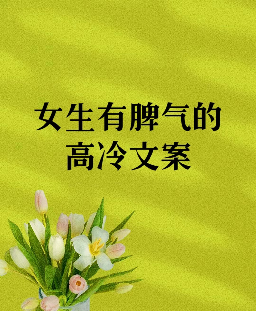 女生有脾气的高冷文案