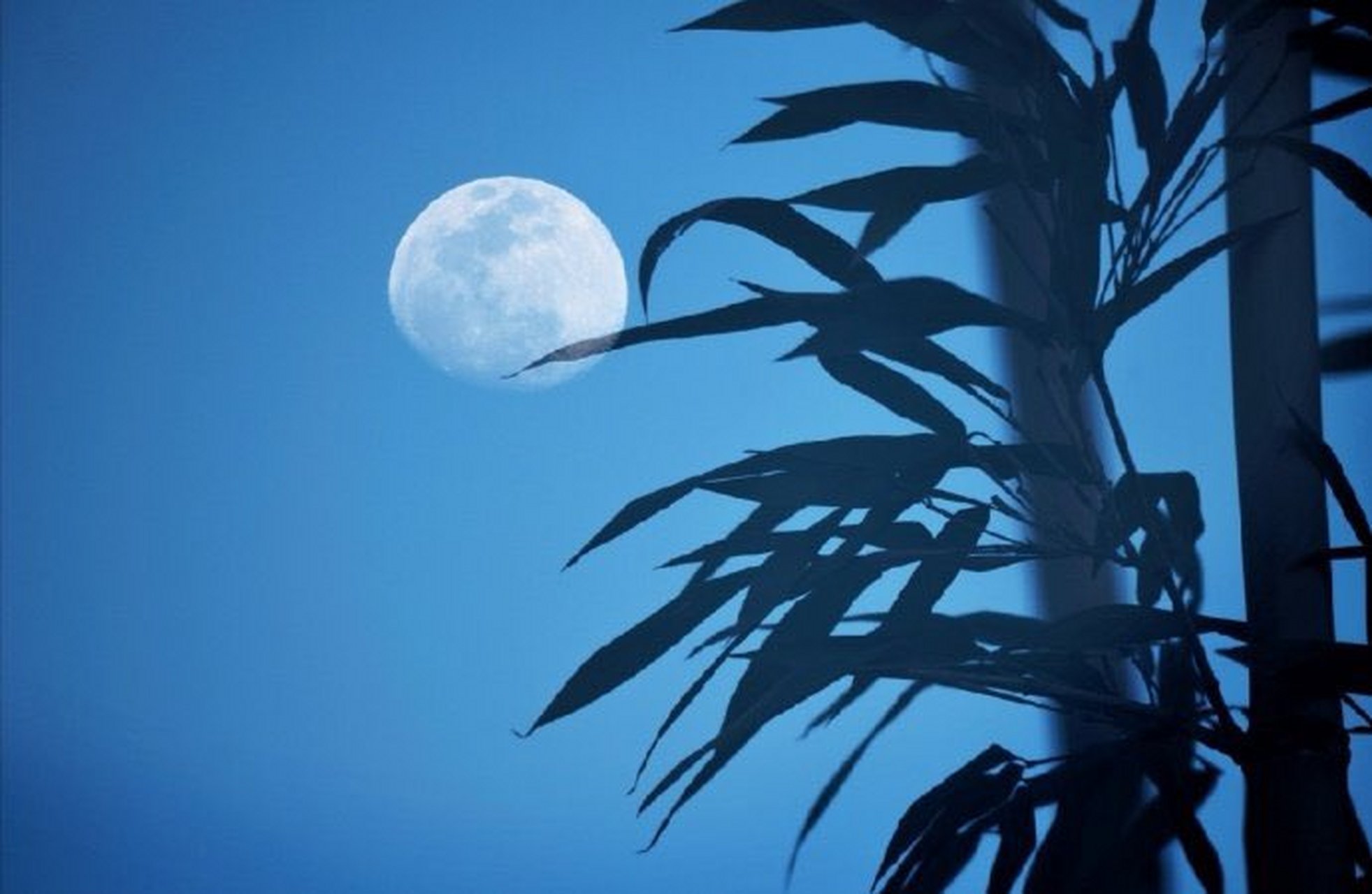 "皓月当空夜正浓"