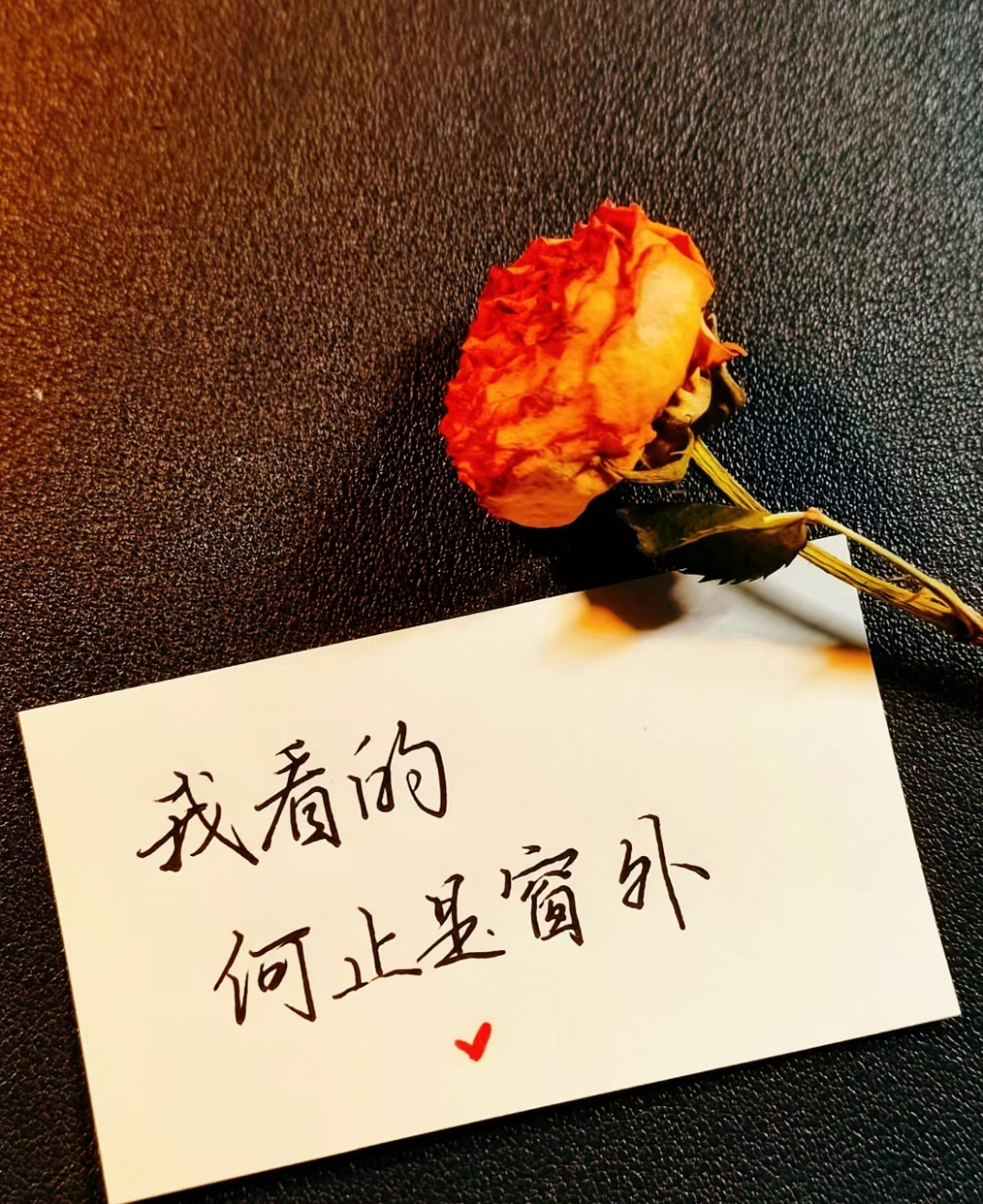 你真我就真,你假我转身……  |韩梅梅手写