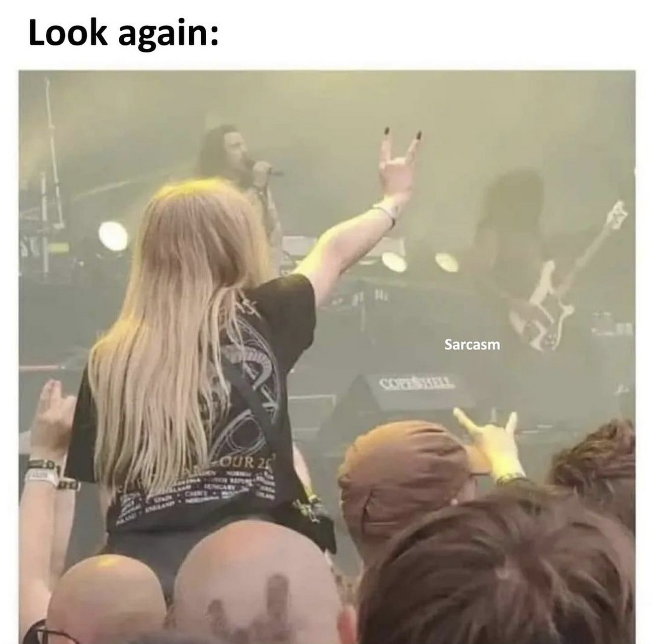 看着有点怪怪的 the real fan