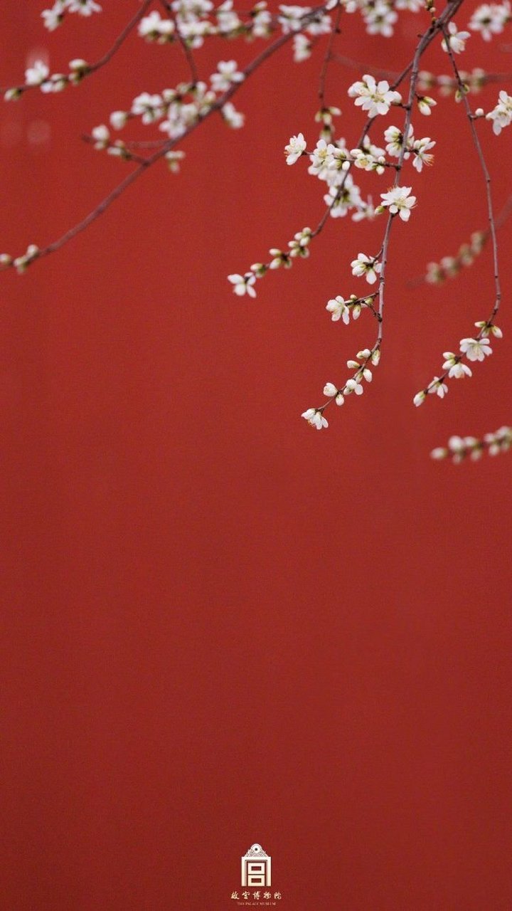 送你一组山桃白与宫墙红的"撞色"壁纸,让屏幕充满春天的呼吸感.