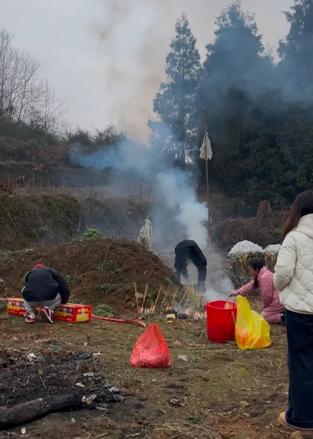 我回老家给爸妈扫墓,正好碰到隔壁的小伙伴也去