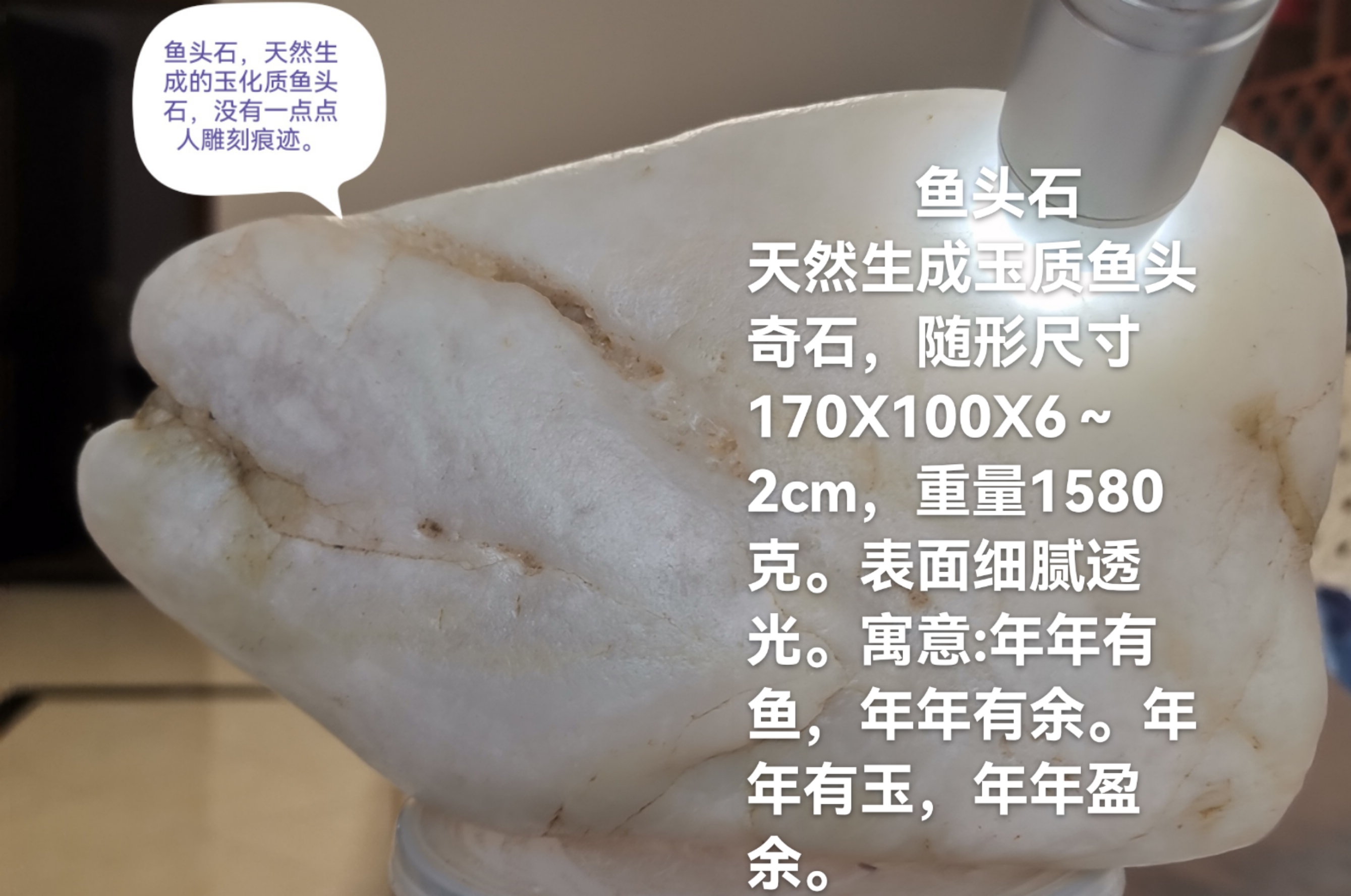 鱼头石,天然生成的玉质鱼头奇石,尺寸为170x100x6~2cm,重量1580克