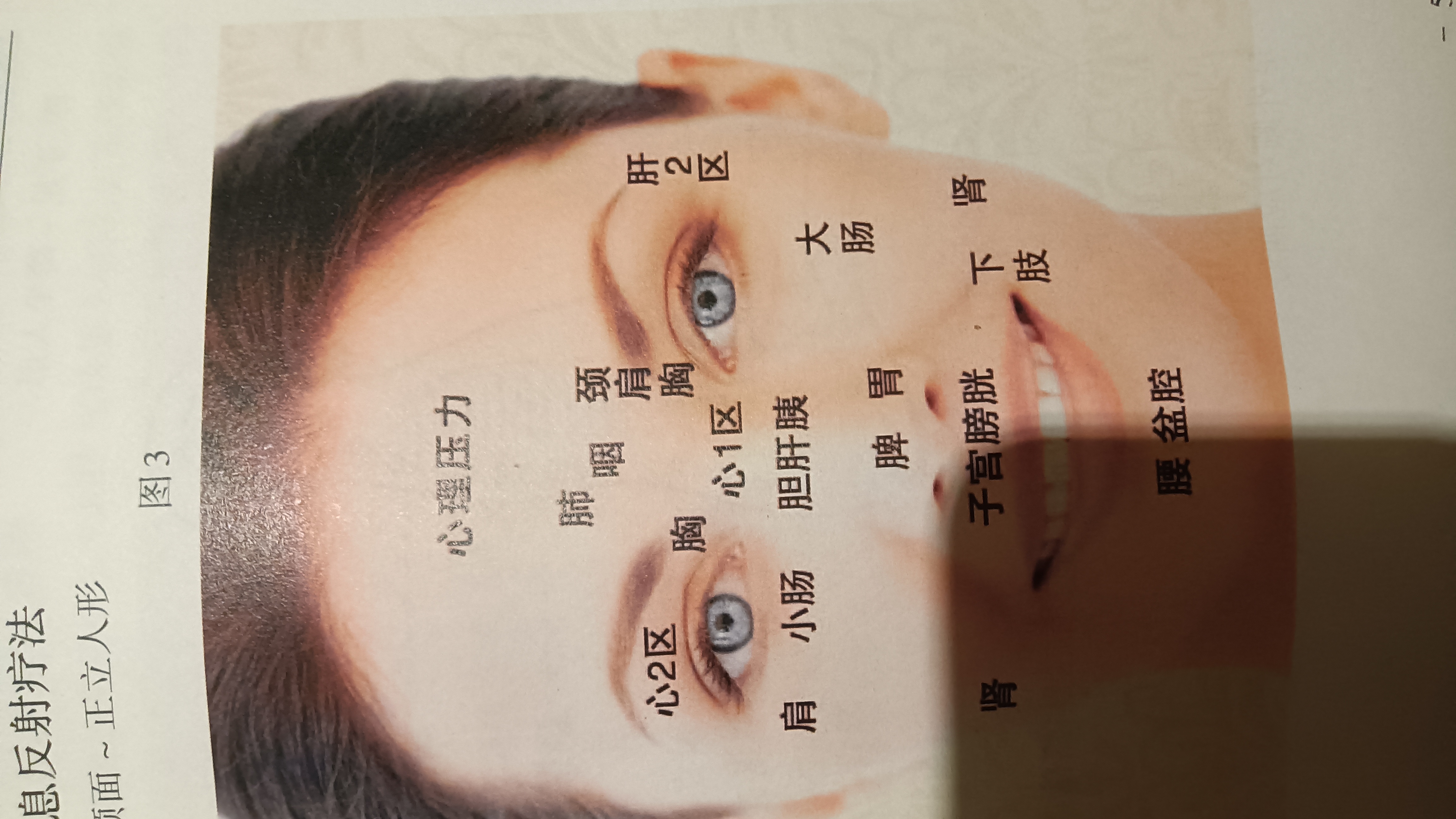 《大健康管理篇食疗养生》 食疗养生是一种健康的生