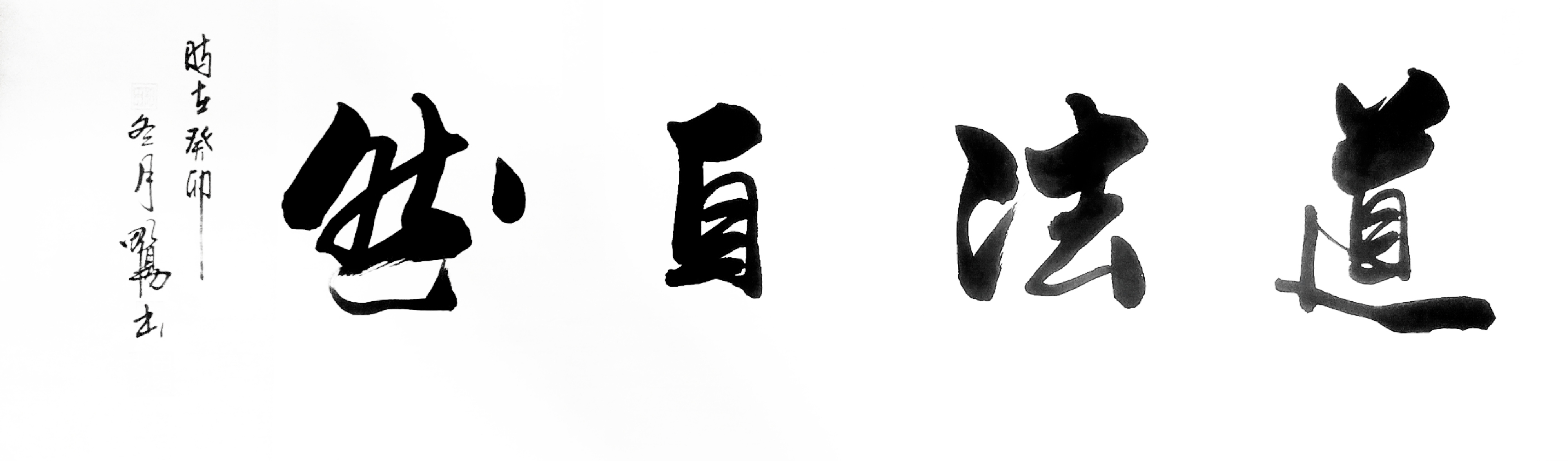 田阳作品集【道法自然】