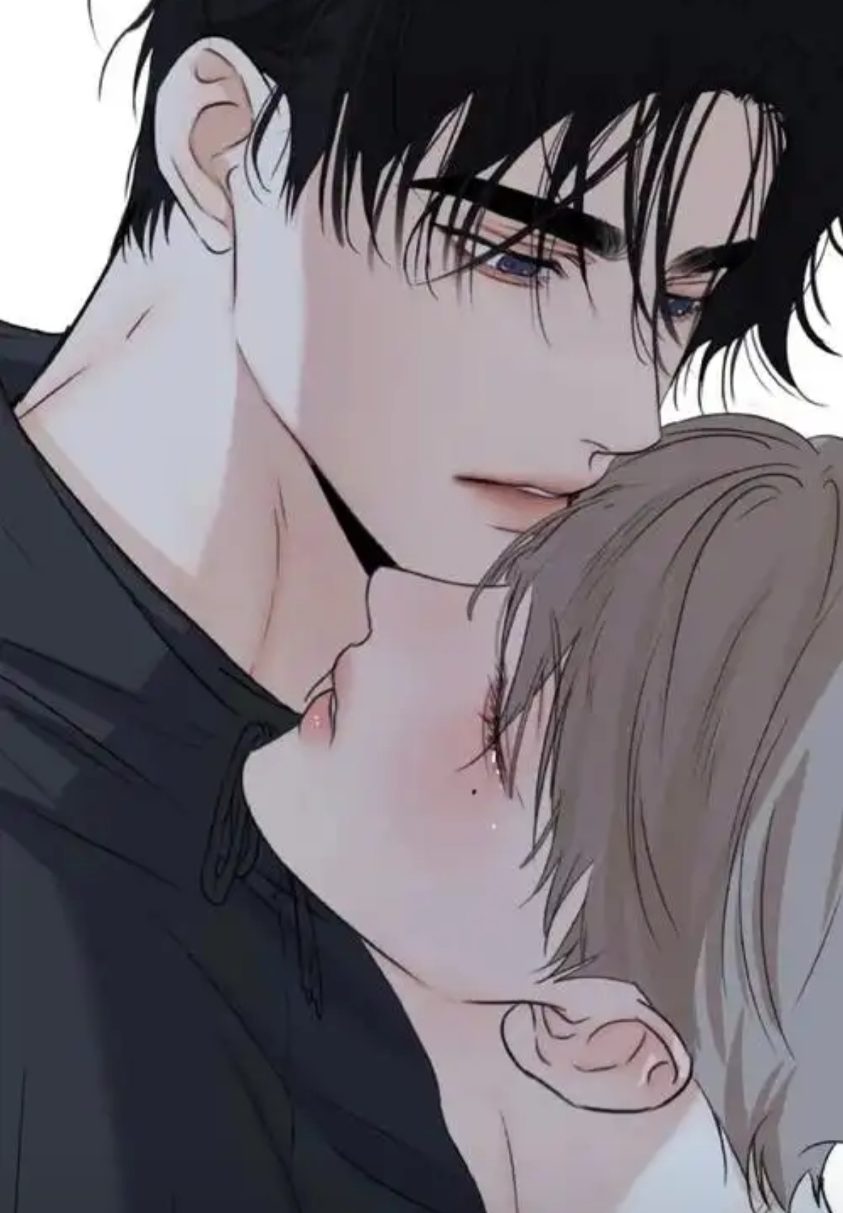 《奇洛李维斯回信》是清明谷雨创作的现代纯恋完结小说