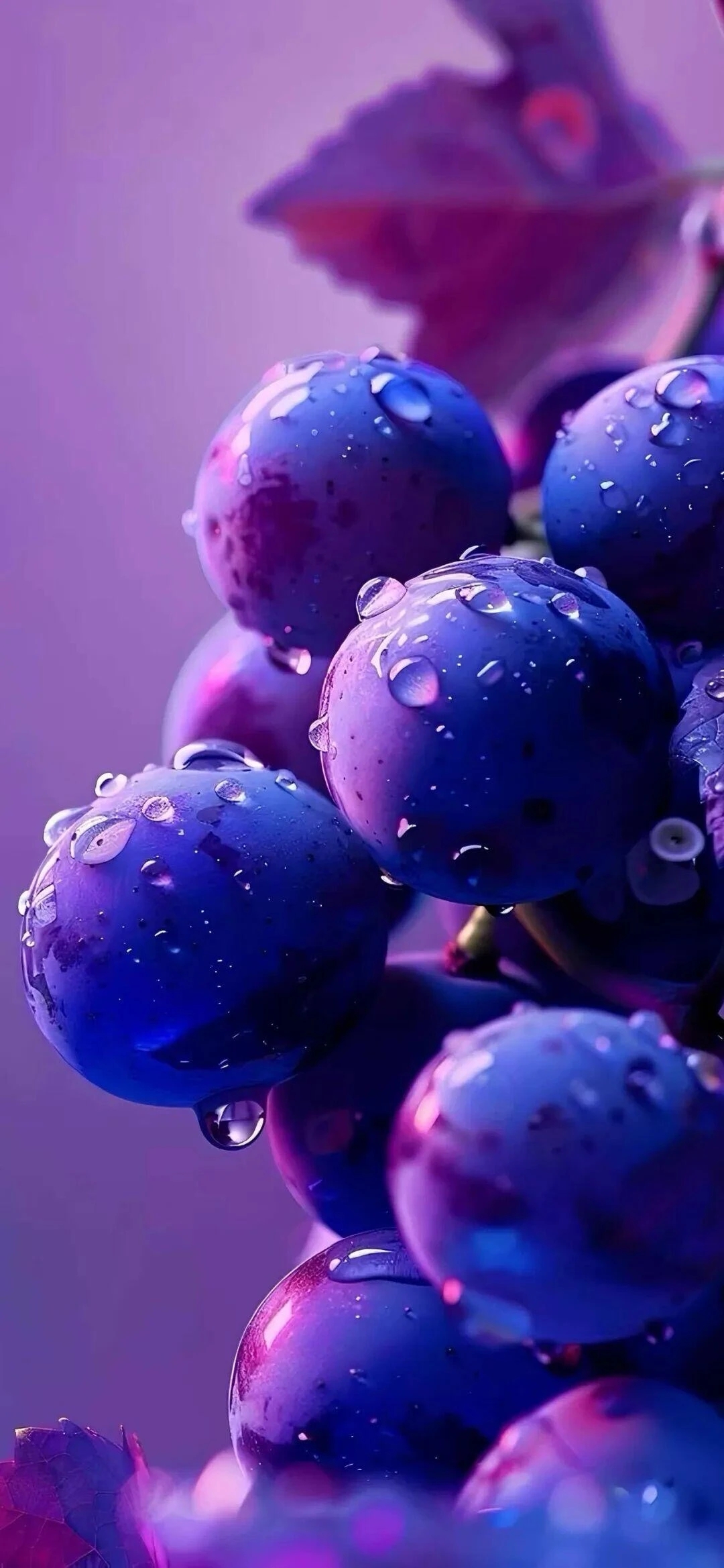 高清水果壁纸 新鲜的葡萄在紫色背景前闪闪发光,每一颗都像刚从藤上摘