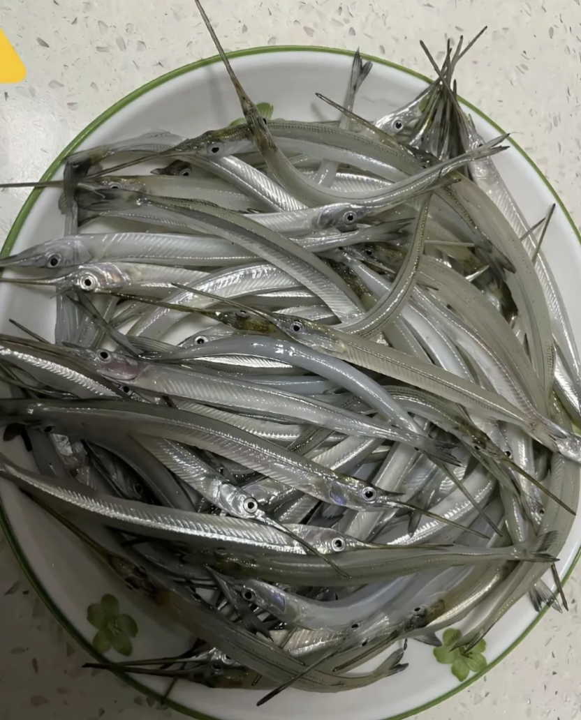 我敢打赌90%的人不知道这个是什么鱼?