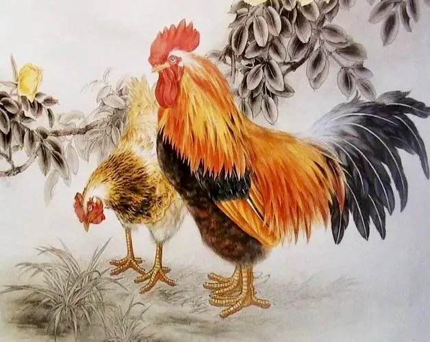 特吉生肖猴今日运势(生肖猴今日运势水墨先生)