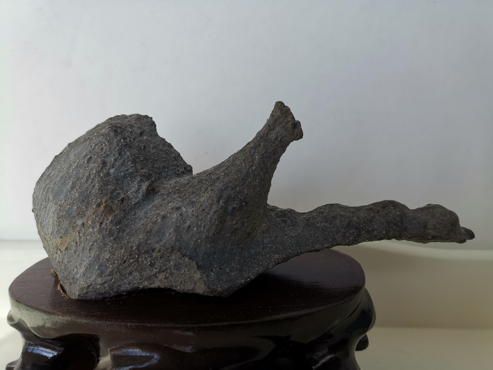 当然,这也是块奇石,是象形石,是块蜗牛奇石