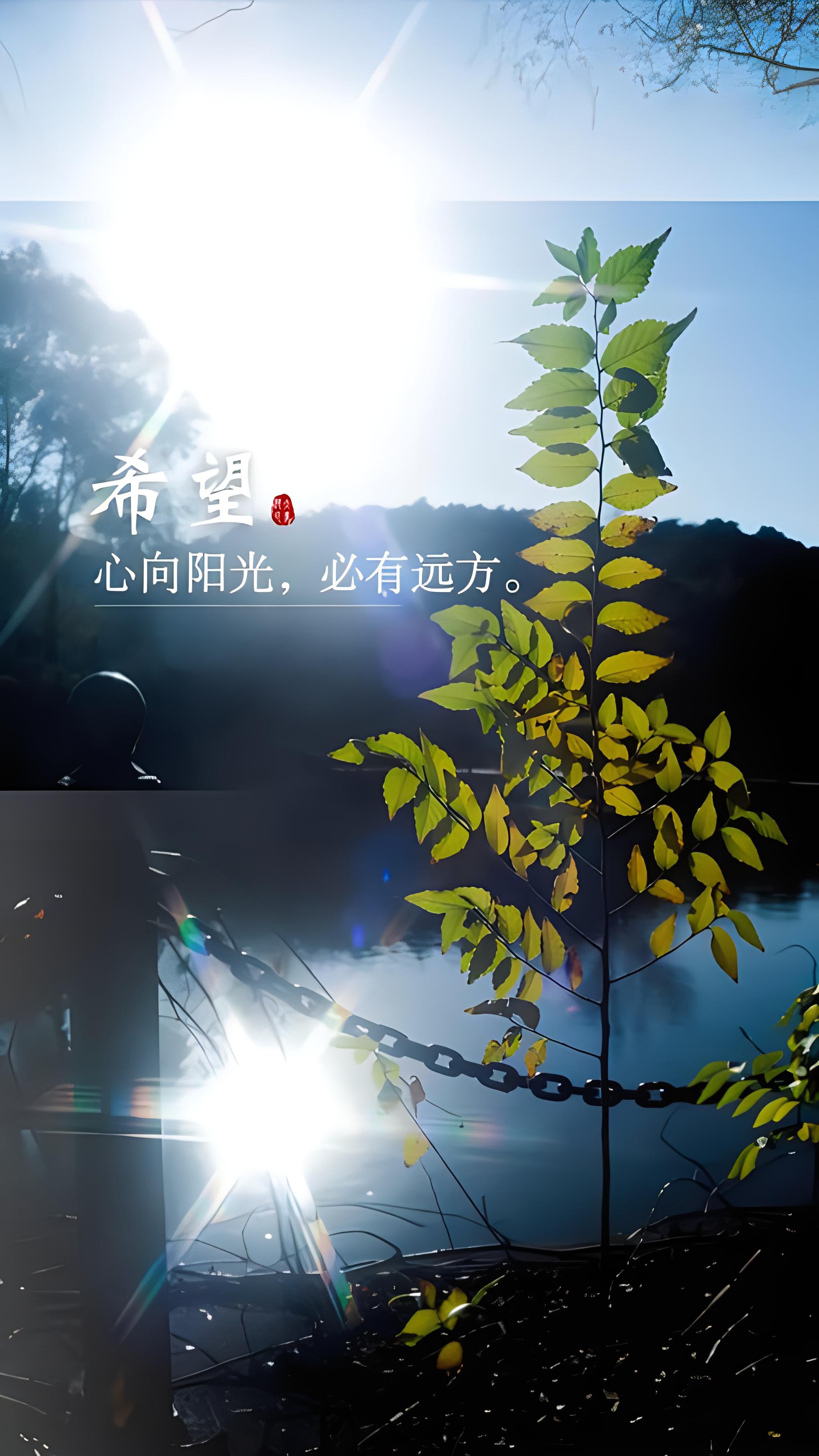 7715希望之树,逆境中的光亮  99那一棵树,它就那样静静地站在