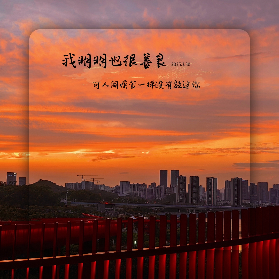窗台的仙人掌已经爆盆了,而我甚少打理过它, 此刻