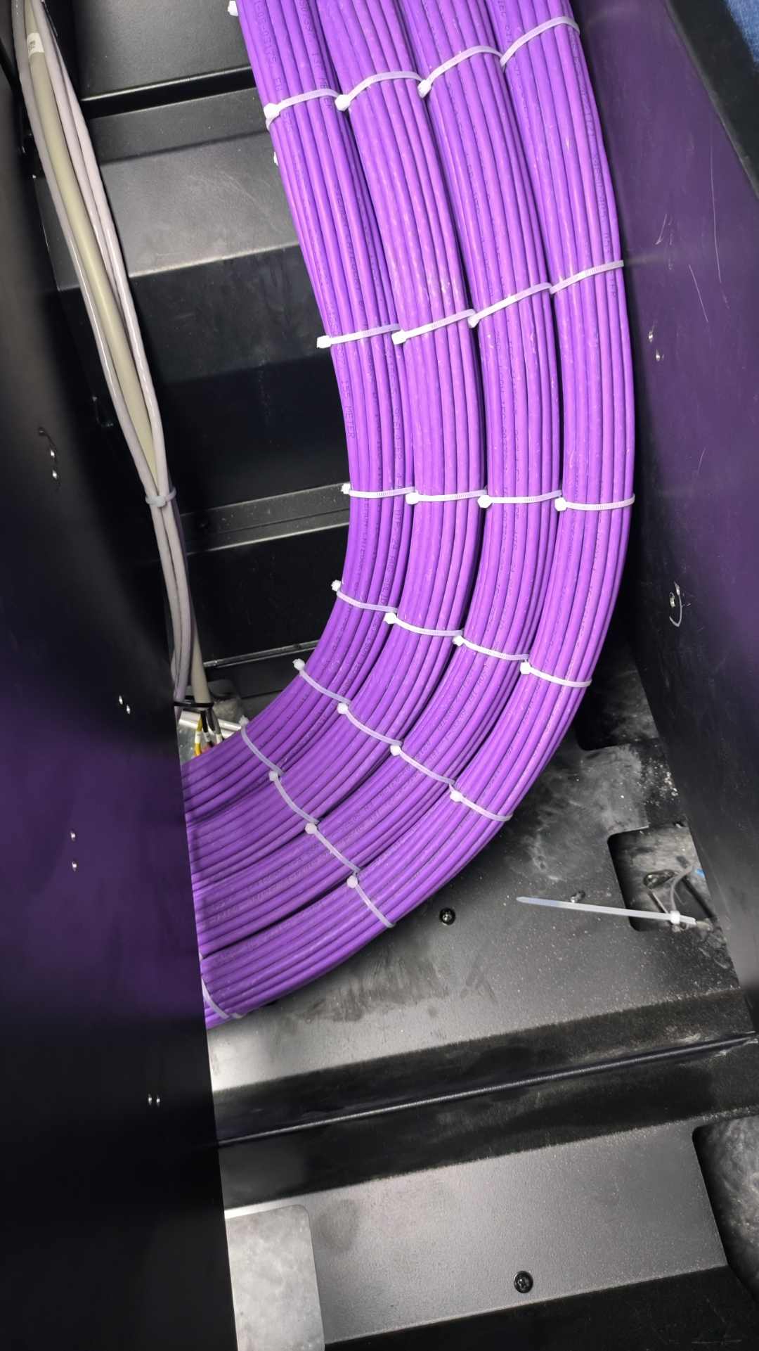 机房里整齐排列的紫色网线,像电路版的血管,科技感十足.