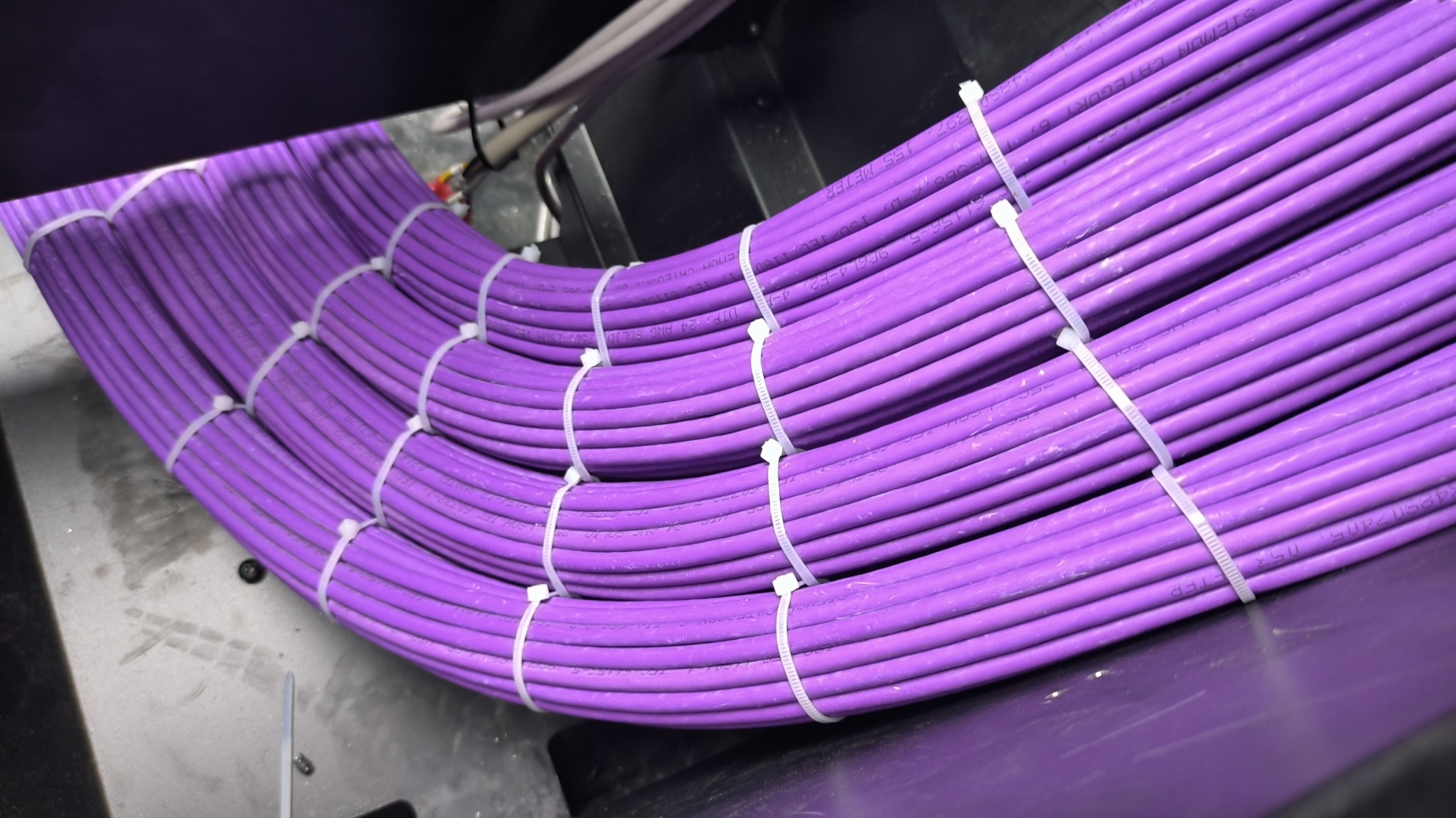 机房里整齐排列的紫色网线,像电路版的血管,科技感十足.