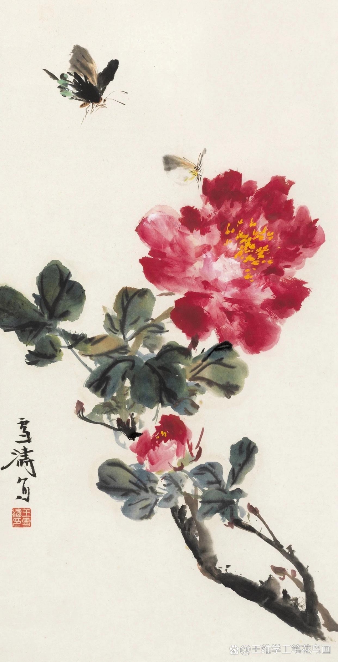 王雪涛先生的这幅牡丹,中西融合.画的俏丽,清雅脱俗,精,气,神兼备.