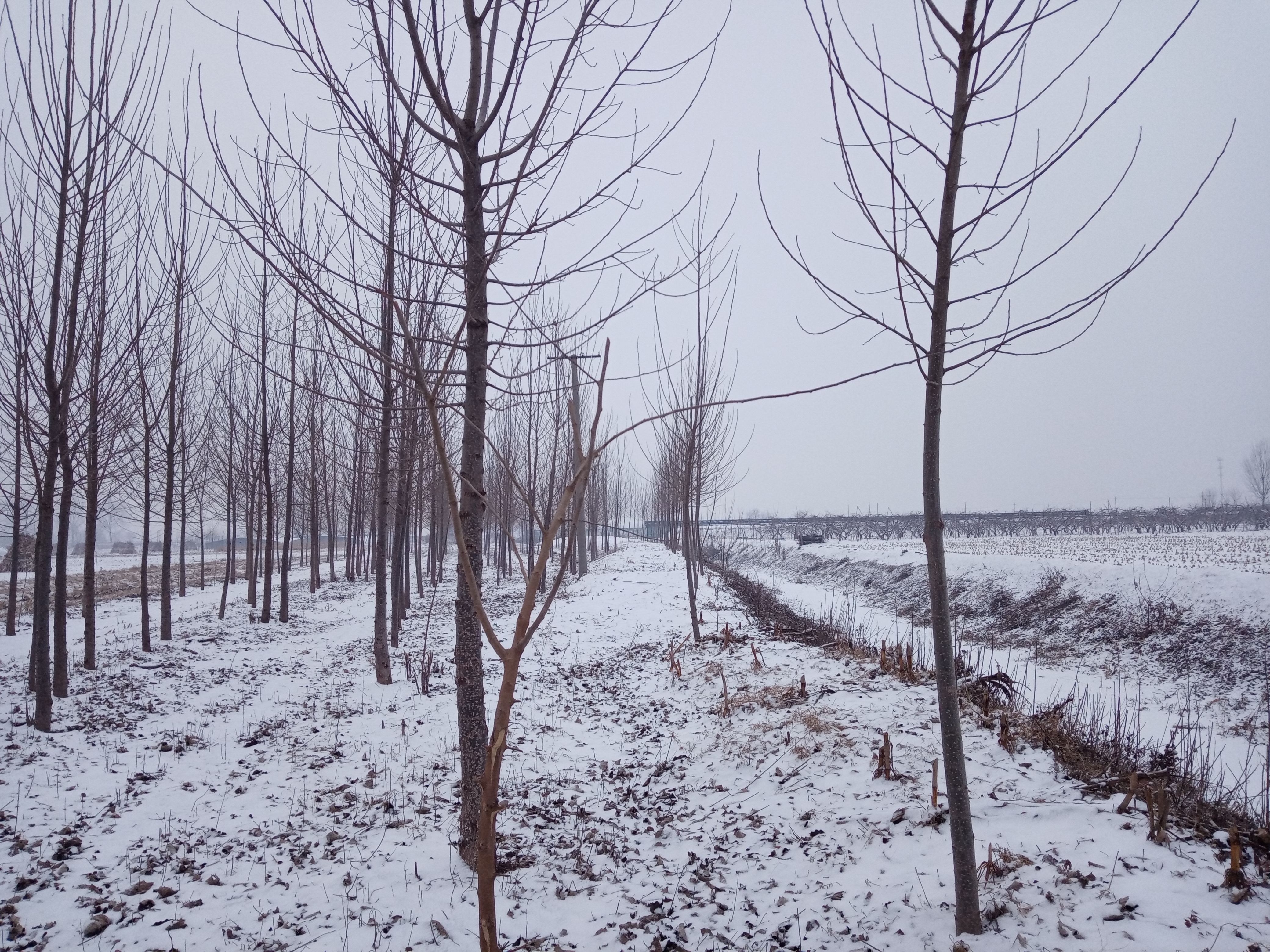 乡村小雪纷纷图片图片