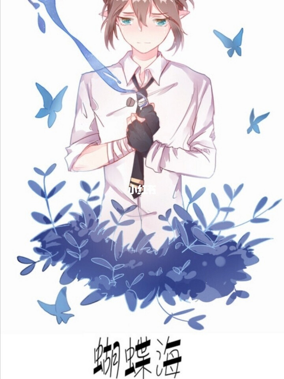 一些蝴蝶海图片