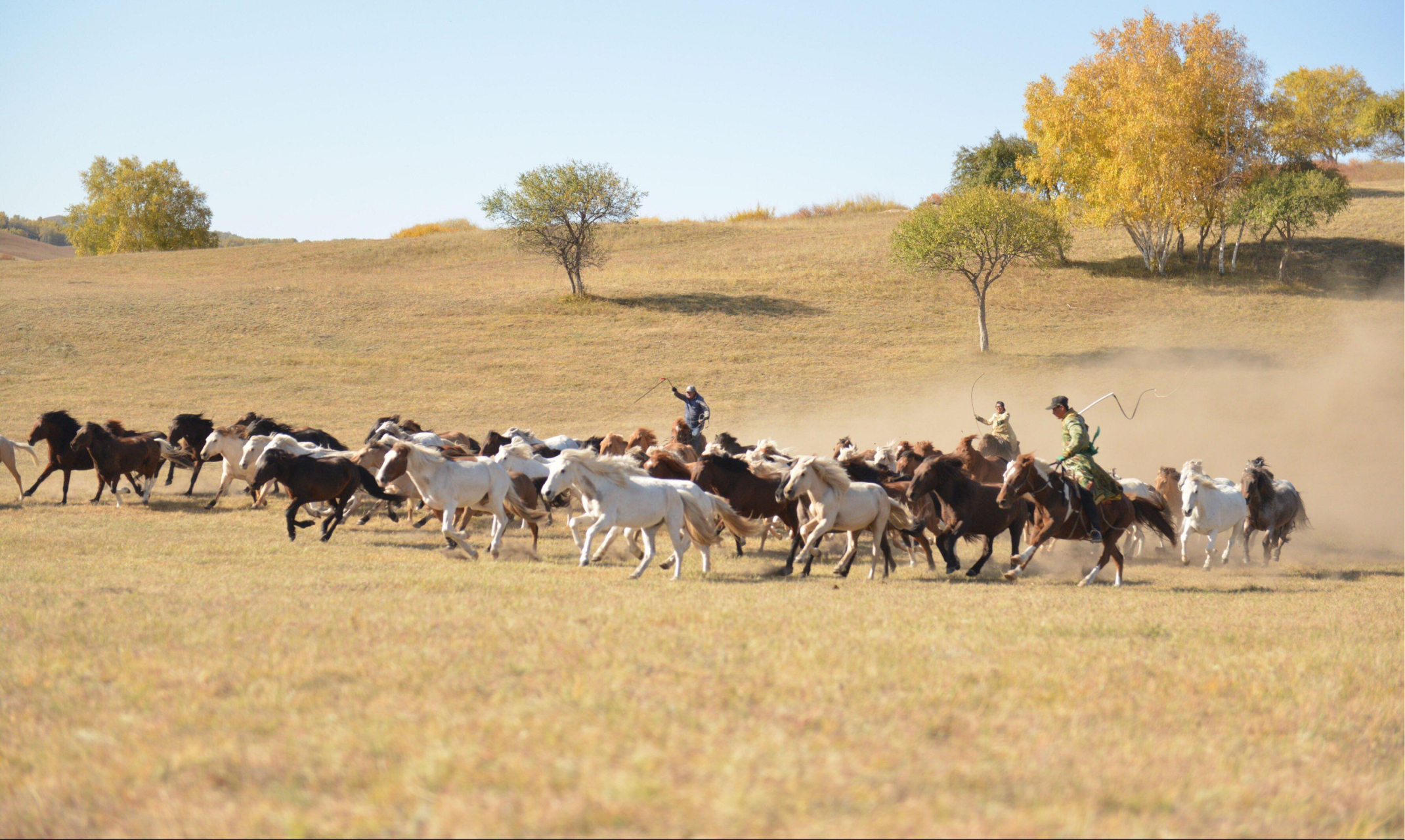 『白马西风塞上,杏花烟雨江南
