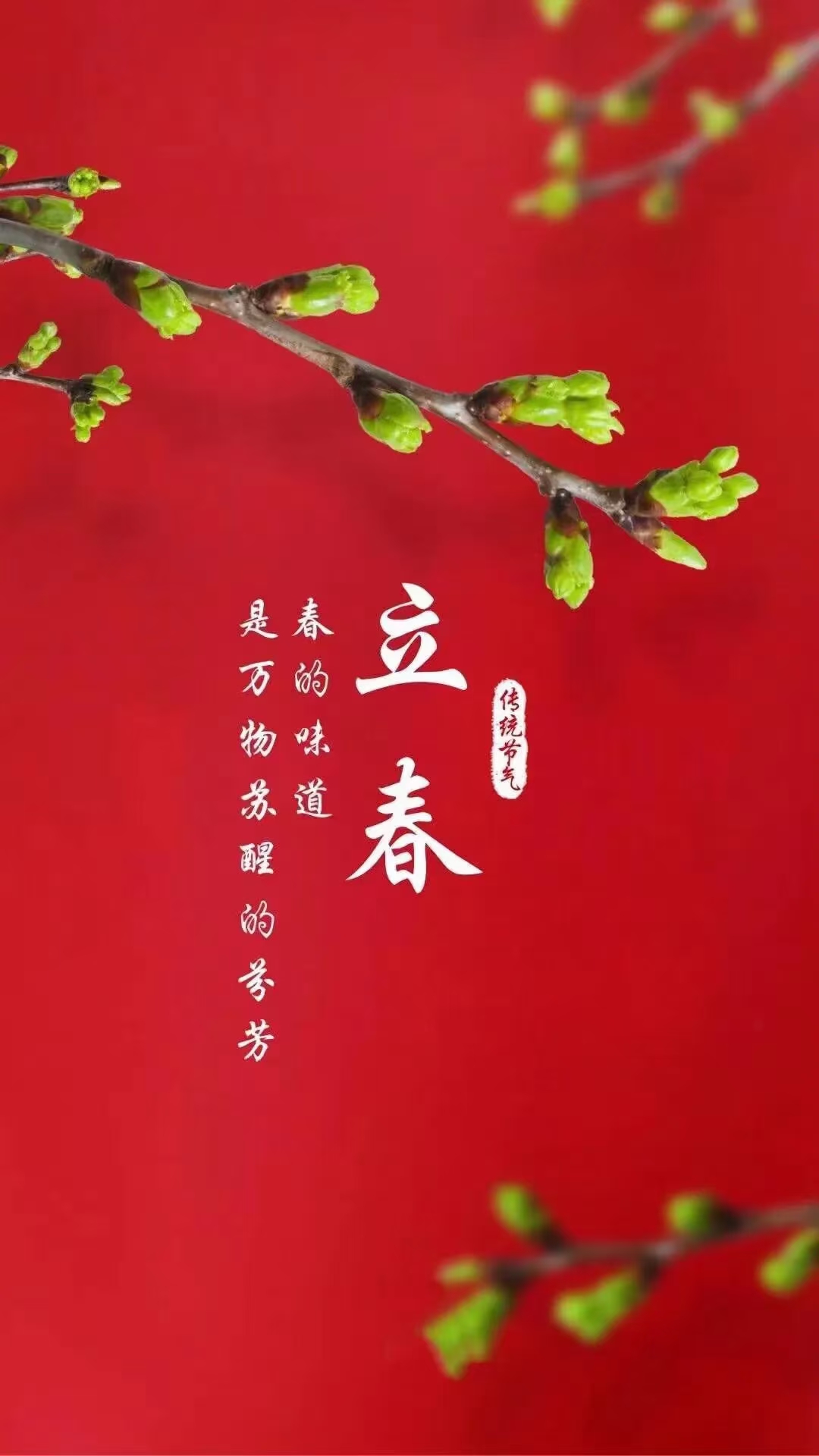 【立春丨愿人生迎春而立】今日16时27分,迎来立春节气!