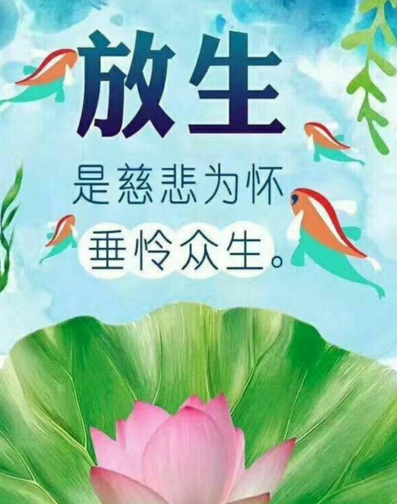 放生要念经,念咒,念佛菩萨圣号给众生.