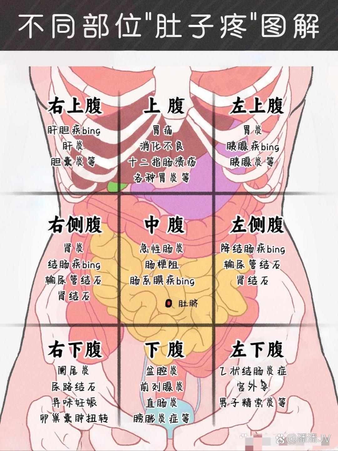 不同部位的肚子疼都代表什么问题?中医一张图讲明白