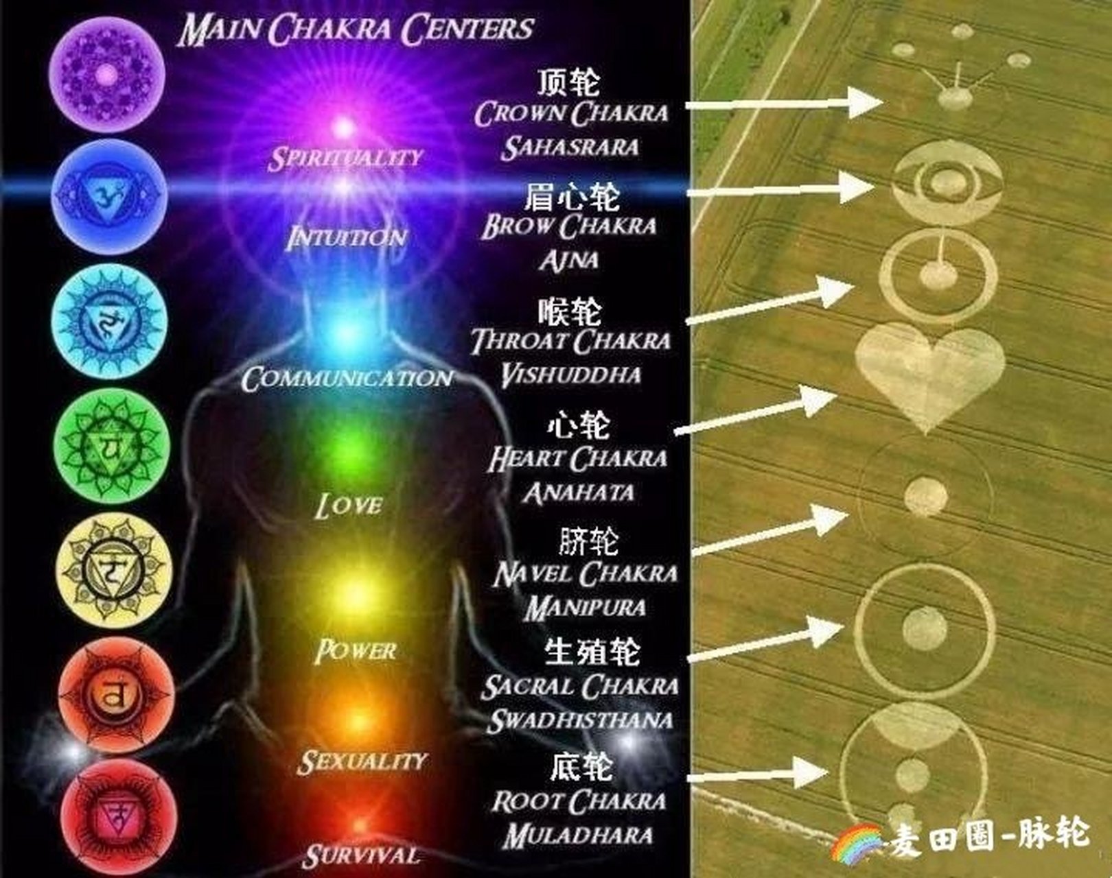 [亲吻]人体脉轮,是在各能量身体中传输[prana普拉那]能量流的能量旋涡