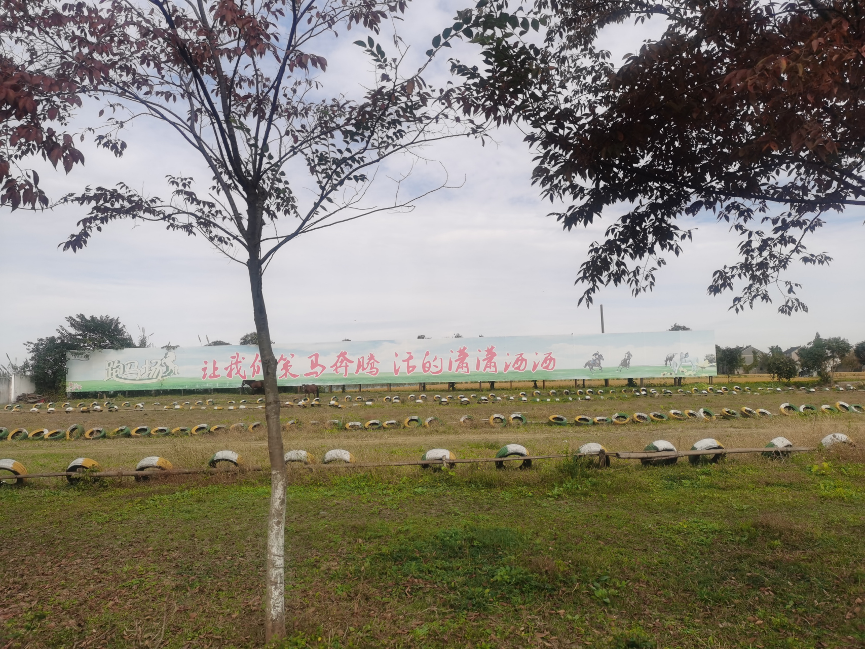 泰兴小南湖风景区门票图片