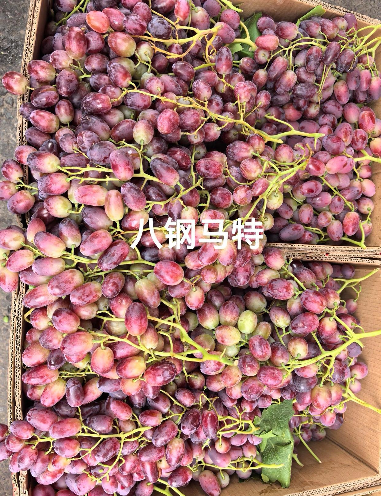 新疆新上市的大马特葡萄,宛如紫宝石般色泽诱人