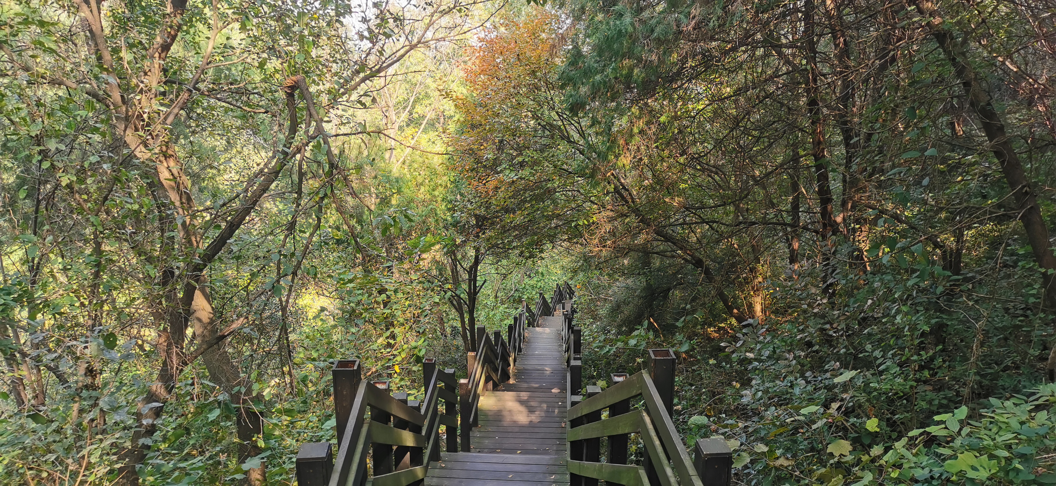 襄阳岘山森林公园图片