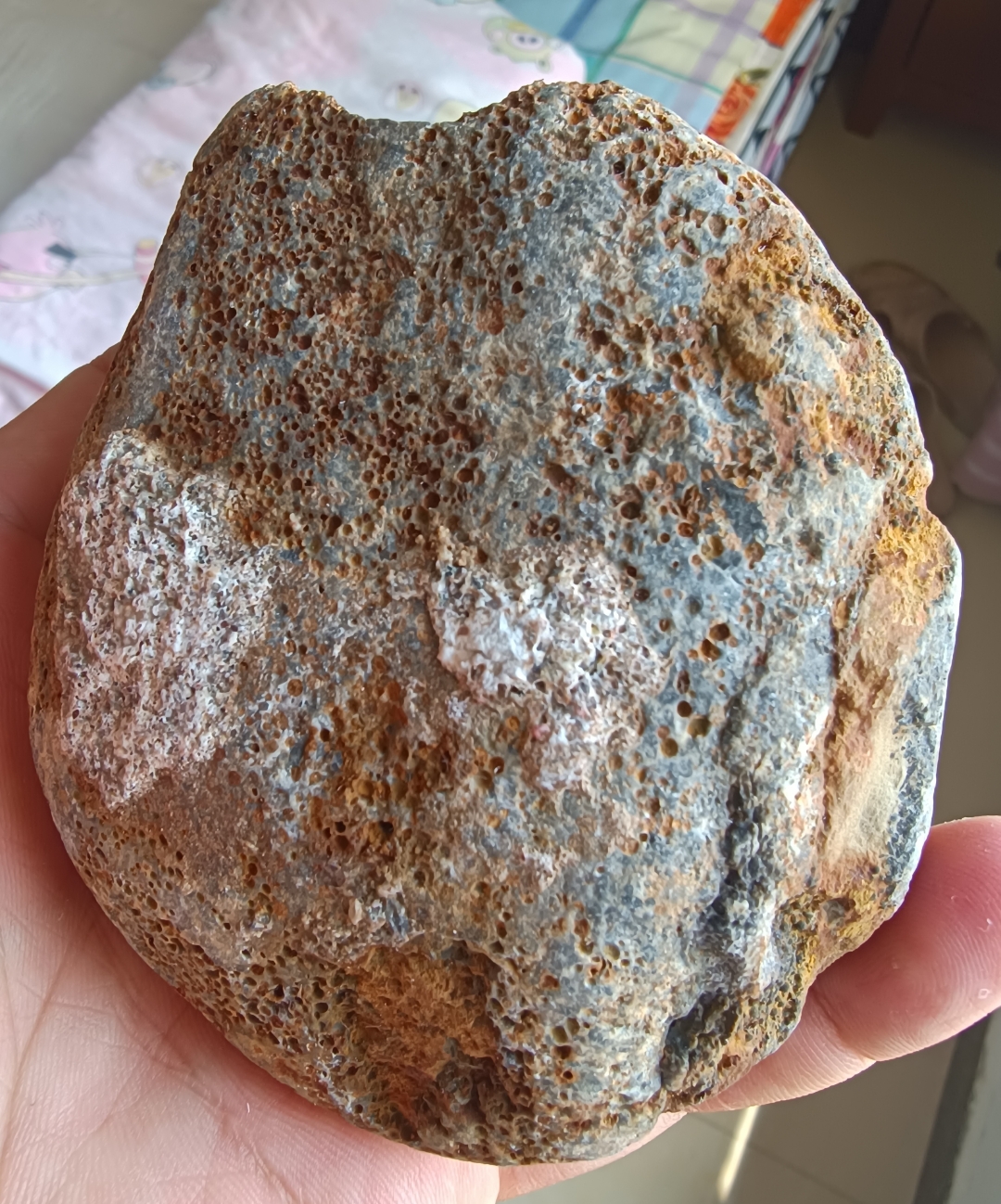 这张图片的颜色深邃又神秘, 深灰色与棕色的碰撞, 仿佛讲述