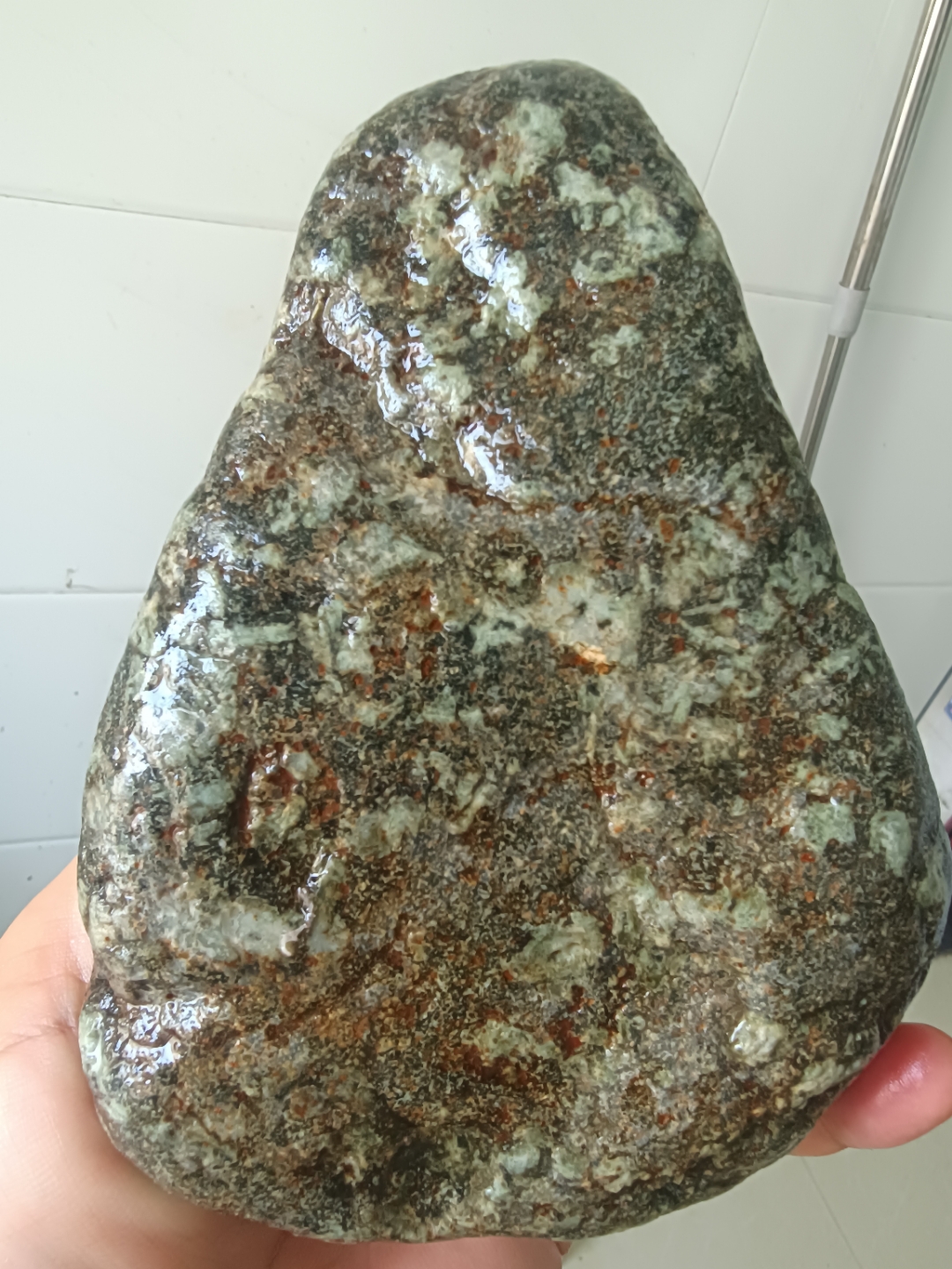 一块梅花石 深绿与灰的交织,如同大地沉睡时的梦境