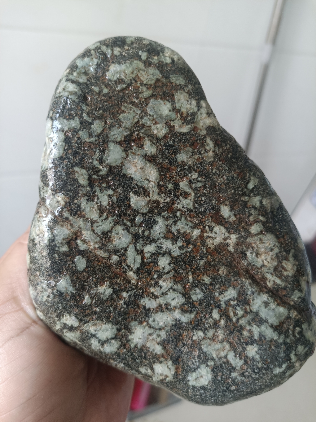 一块梅花石 深绿与灰的交织,如同大地沉睡时的梦境