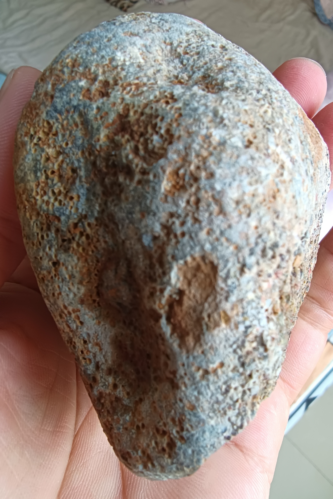 👀这张图片的颜色深邃又神秘, 深灰色与棕色的碰撞, 仿佛